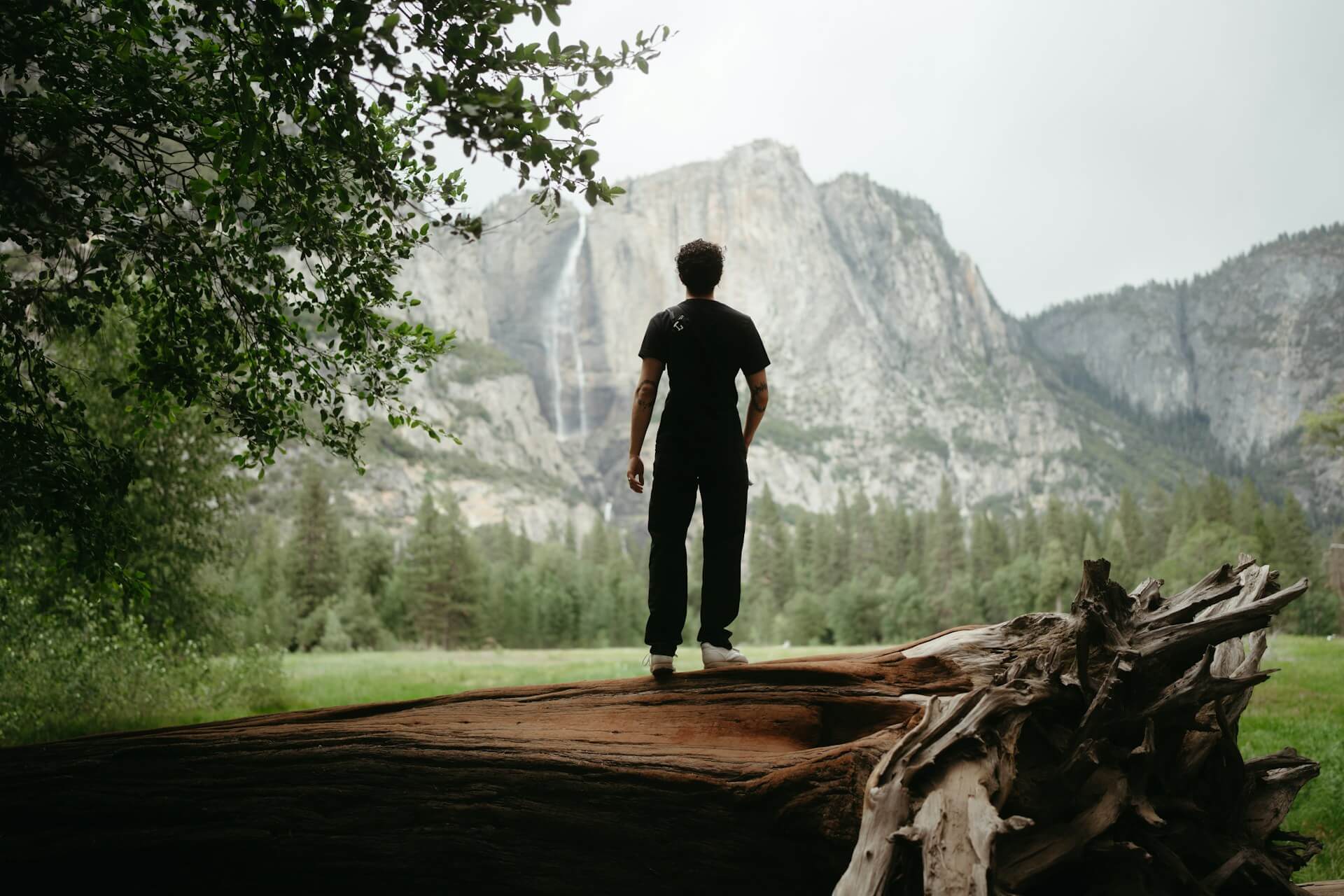 Living Simply: Minimalist Practices and Habits for a Fuller Life